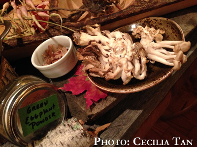 damon_baehrel_ingredients