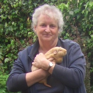 Jemima Pett