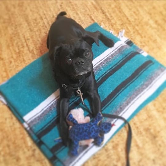 12237140_161407734213305_45488874_n