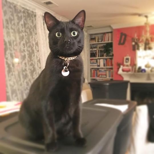 12237591_1032941486766515_404962087_n