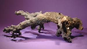 fulgurite01