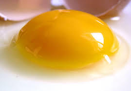 molecular egg 1