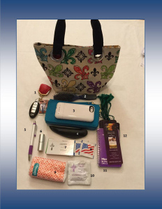 Nov 13 - Purse Photo - Linda Joyce