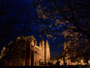 Melrose Abbey: eerie autumn twilight