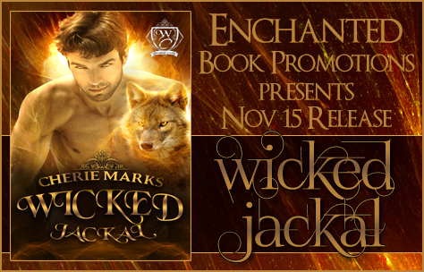 wickedjackalbanner