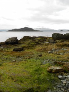 Tierra del Fuego. The green seemed greener amid all the white.
