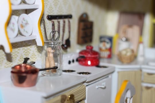 Documenting the Flip This (Mini) House kitchen with my friend's awesome camera.