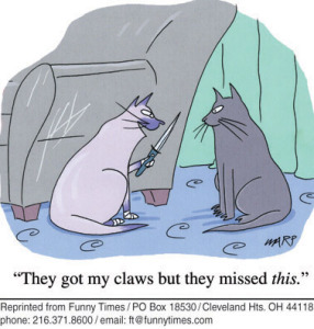 declawed cat