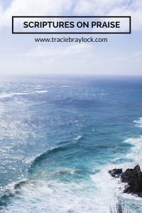 Scriptures on Praise | Tracie Braylock