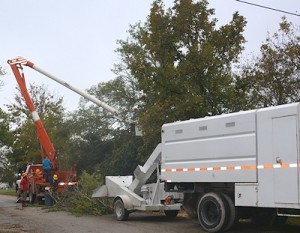 Ash-takedown-in-progress