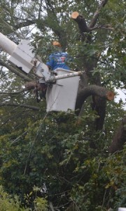 Ash-takedown-closeup