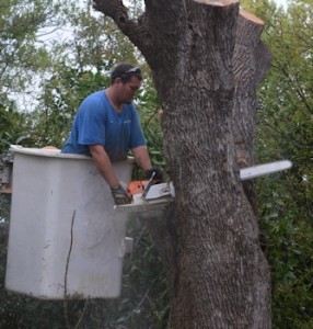 Ash-taiking-off-main-branch