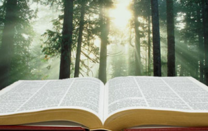 Bible light 2