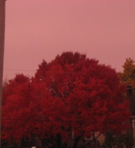 before superstorm sandy