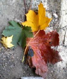 garage tableau