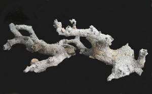 fulgurite 03