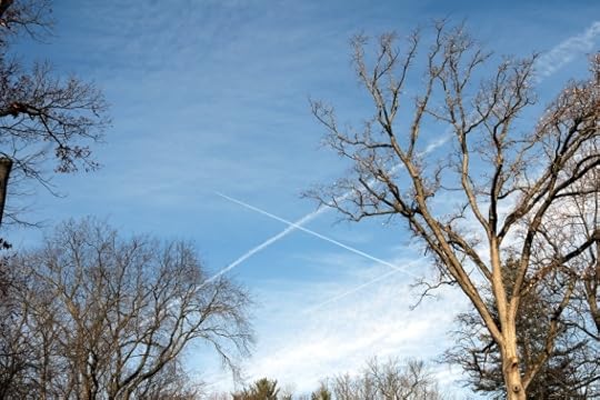 Contrails crossing in the northern sky.
