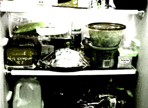 Refrigerator picture for vocabulary word a week by Adan Ramie