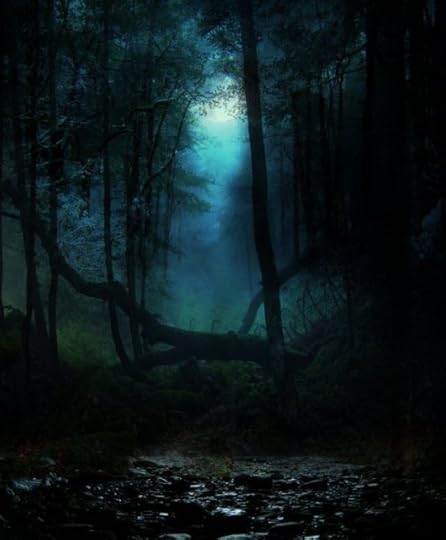 fallen-trees-night