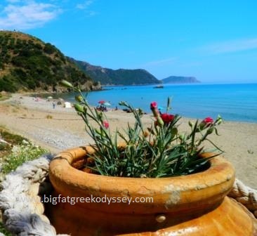caption here for tsapi beach
