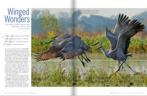 Michael Shapiro's story in Alaska's Horizon magazine with photo by Lon Yarbrough.