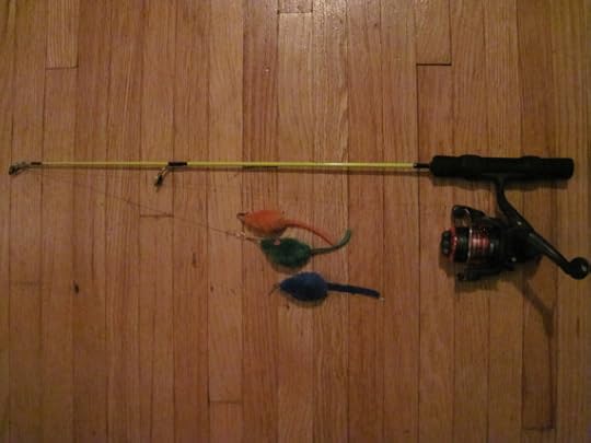 Cat Toy Fishing Pole