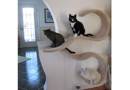 Double Wave Wall Mounted Cat Shelf