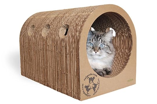 Original Catpod