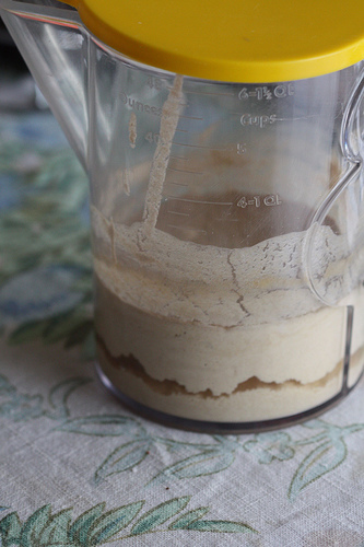 Sourdough Starter Day 2 and Day 3