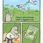 12036992_716169001850470_5142522294014891419_n