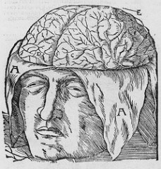 brain surgery photo