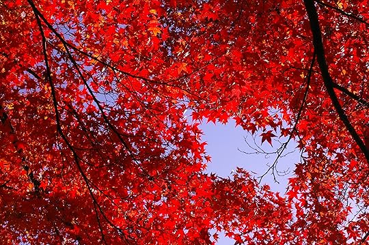 autumn