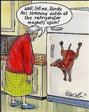 funny-dog-cartoon-dog-magnet