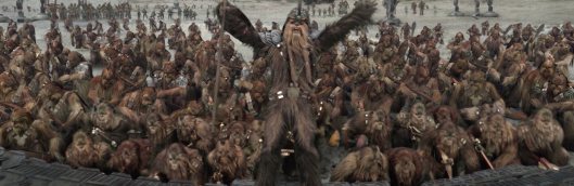 wookiesangelsportion