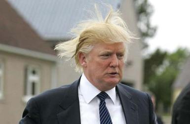 Donald Trump Hair - 