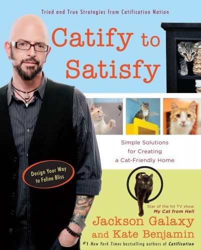 catify-to-satisfy