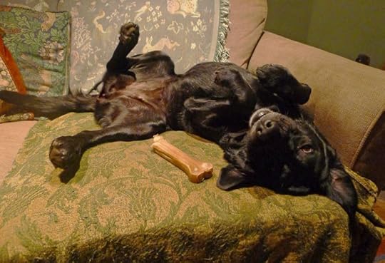Tilly silliness
