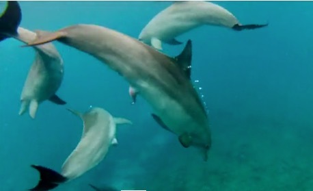 Screen Shot 2015-07-12 at 08.34.50