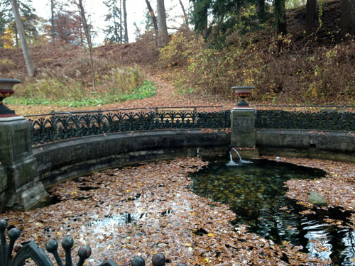 NY Spring Water