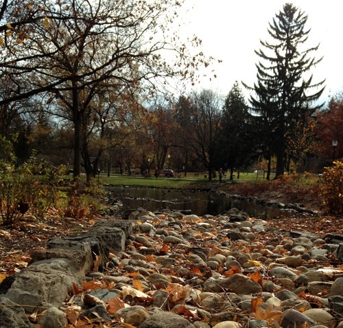 NY Rock bed