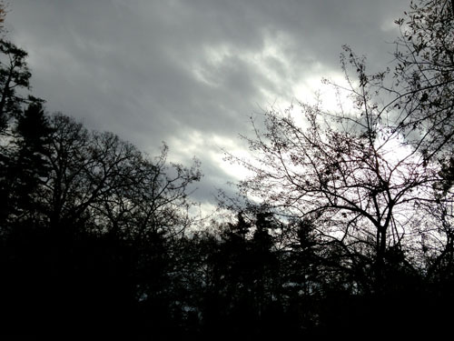 NY Sky