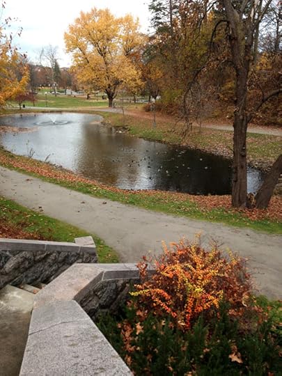 NY Pond