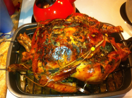Thanksgivingbird