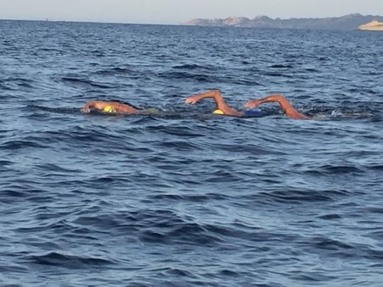 L to R: Tommi, Terry, and Lennart. Rear: Corsica