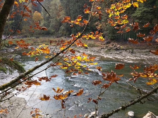 Top writing tip - go for a walk