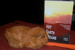 Usagi Contemplates a Future Without Carrots!