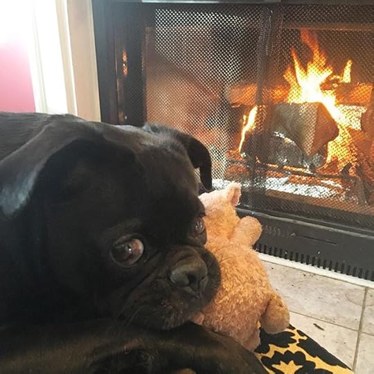 12237136_1686390881643147_1290413620_n