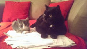 10599309_545115005587997_4301214348687287732_n