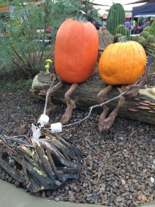 smore pumpkin