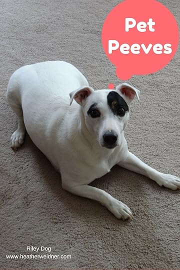 Riley's helping me with my blog today.